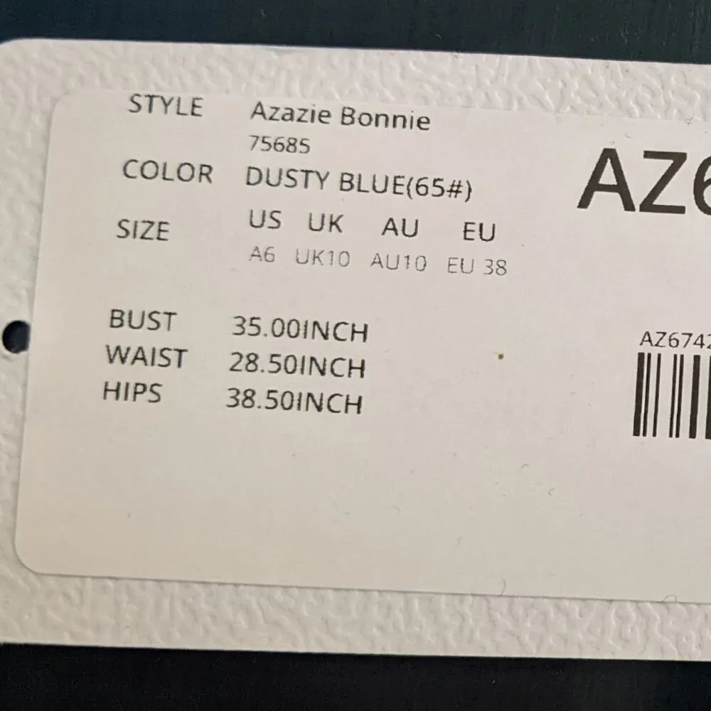 Azazie Bonnie (Dusty Blue) + Travel Garment Bag - Picture 5 of 5